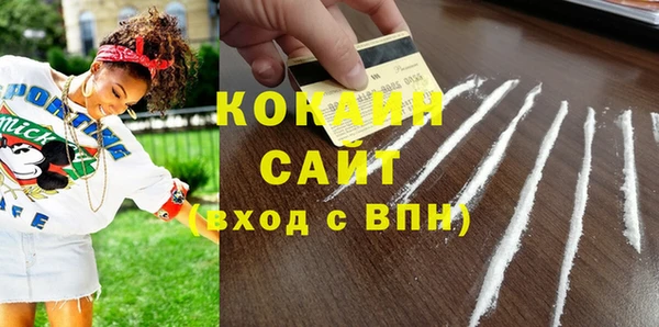 сатива Сясьстрой