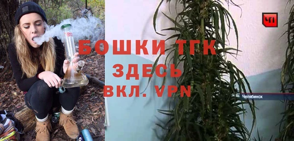 сатива Сясьстрой