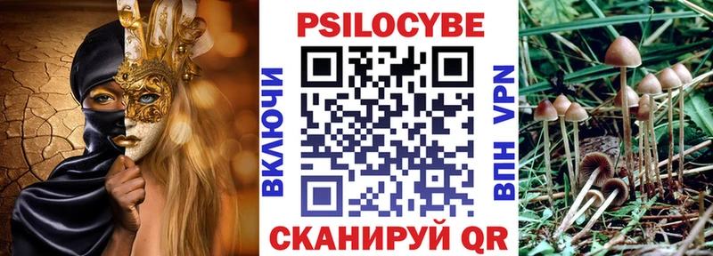 omg вход  Владивосток  Галлюциногенные грибы мицелий  купить  